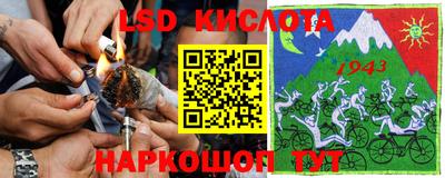 стаф Дубна