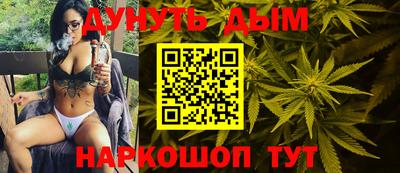 стаф Дубна