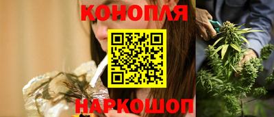 стаф Дубна