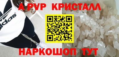 стаф Дубна