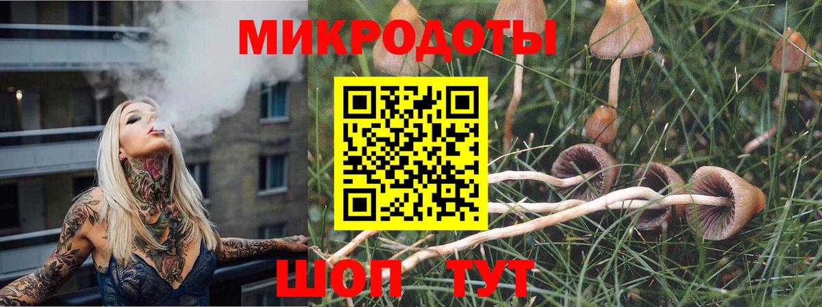 Мариинск  Псилоцибиновые грибы Cubensis  Вход с VPN 